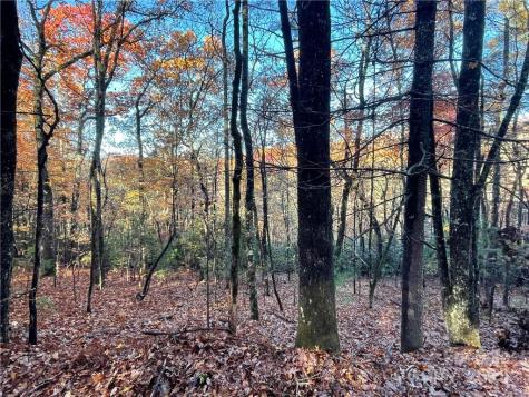 9999 Sassafras Road Cedar Mountain NC 28718