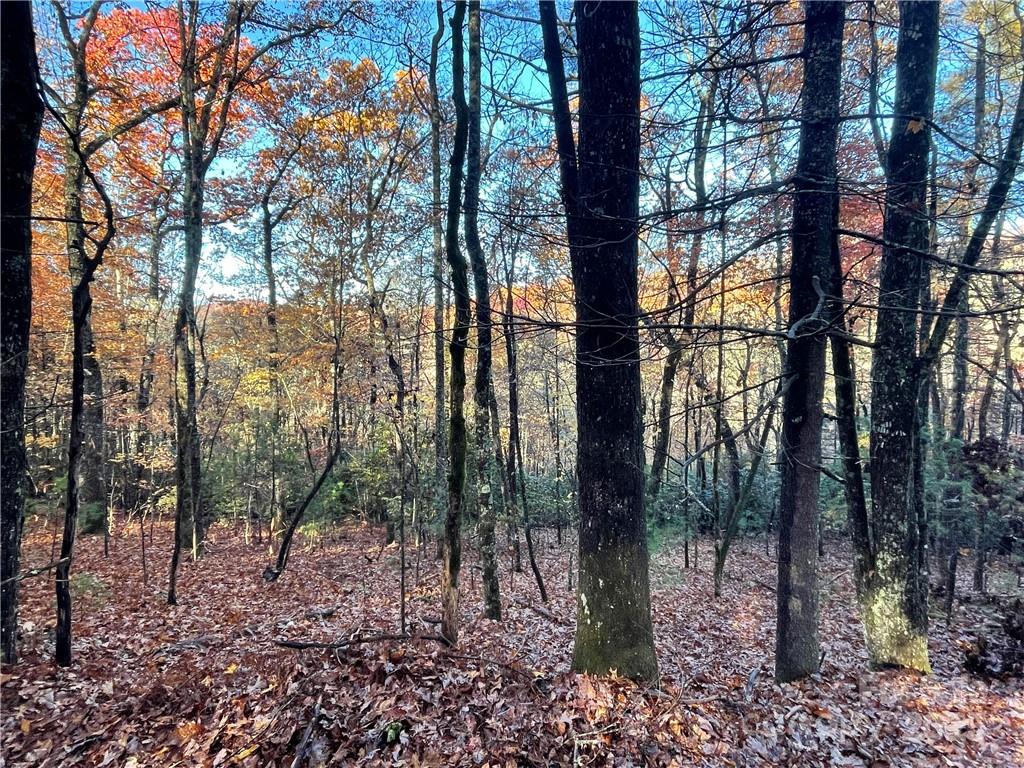 9999 Sassafras Road Cedar Mountain NC 28718