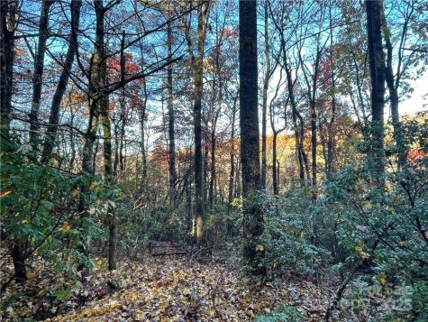 9999 Sassafras Road Cedar Mountain NC 28718