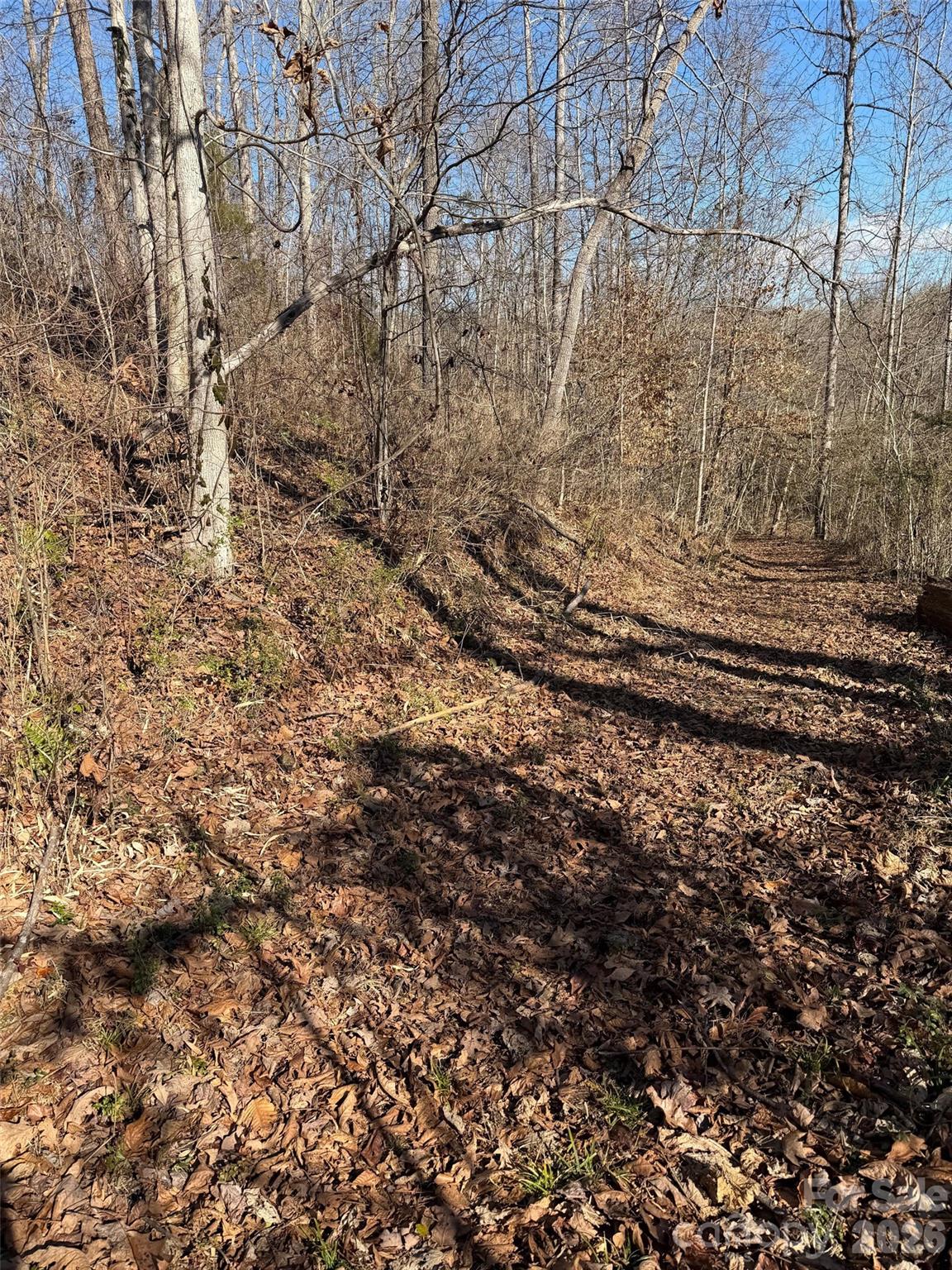 000 E Rambling Creek Road Tryon NC 28782