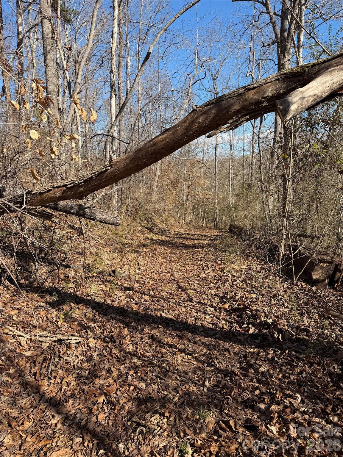 000 E Rambling Creek Road Tryon NC 28782