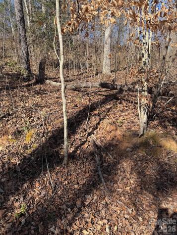 000 E Rambling Creek Road Tryon NC 28782