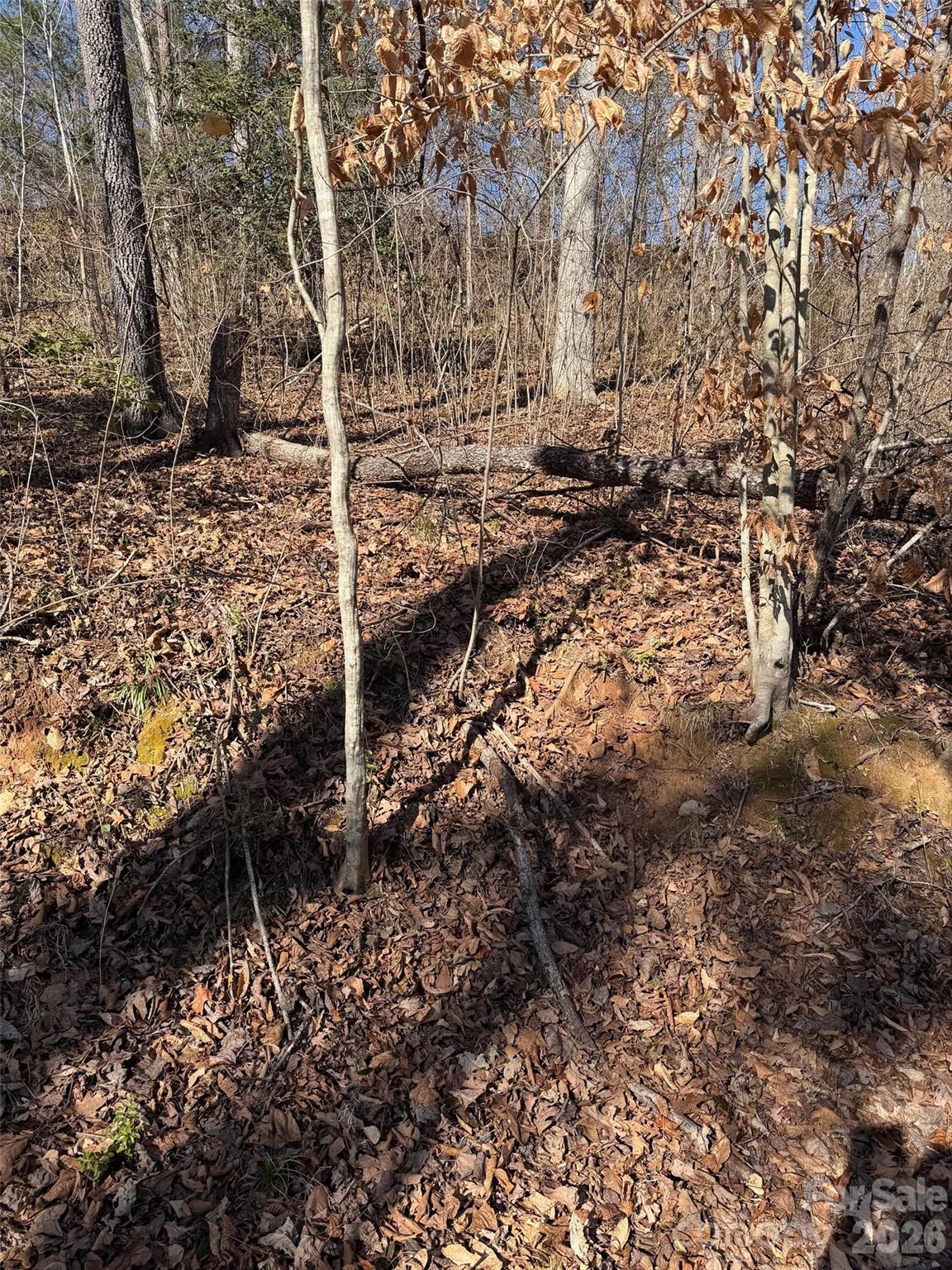 000 E Rambling Creek Road Tryon NC 28782