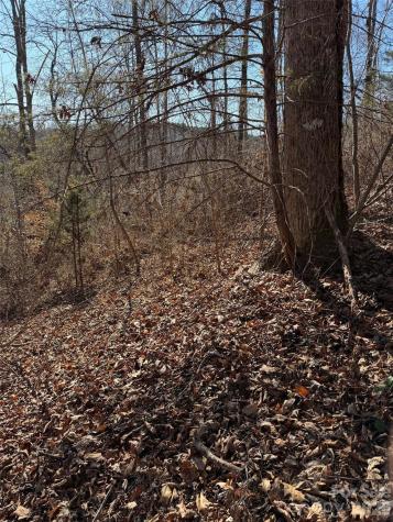 000 E Rambling Creek Road Tryon NC 28782