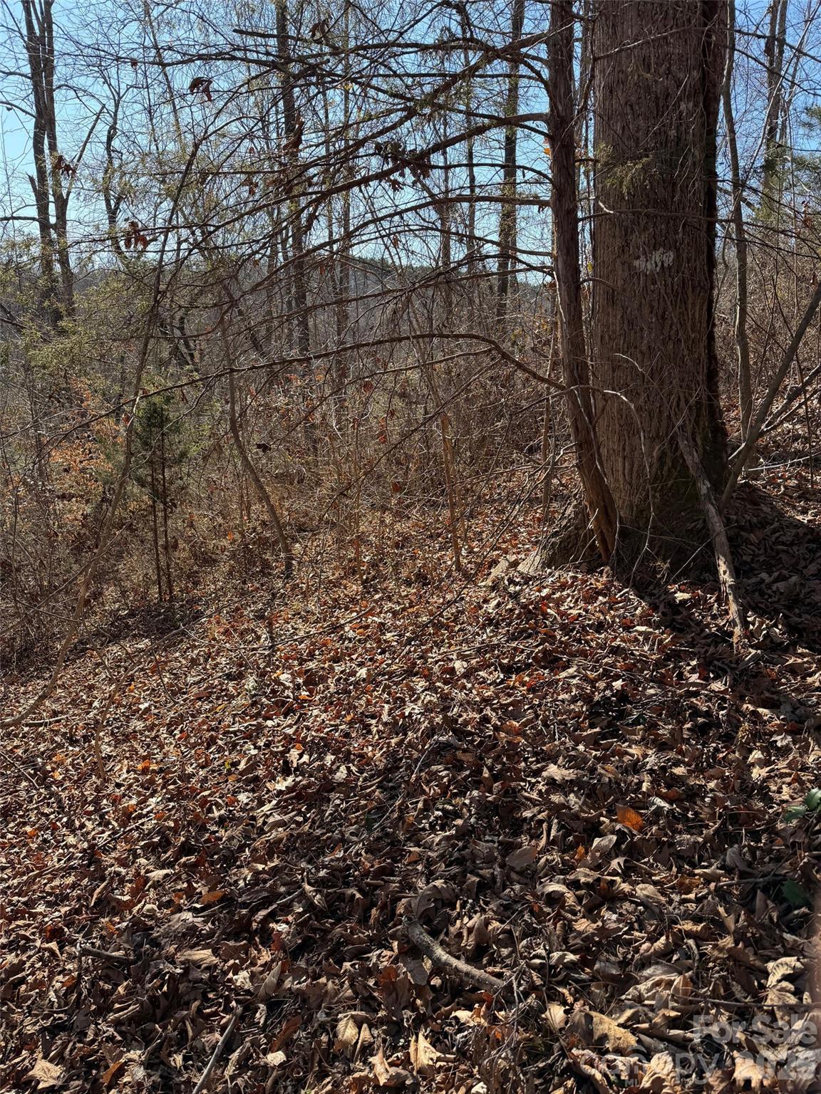 000 E Rambling Creek Road Tryon NC 28782