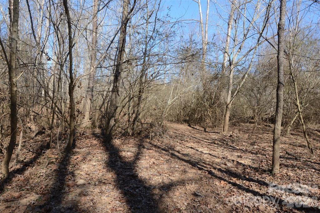 000 E Rambling Creek Road Tryon NC 28782