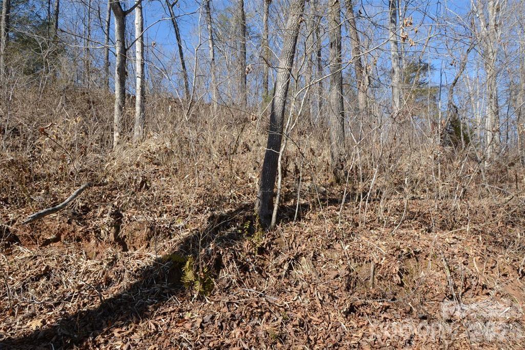 000 E Rambling Creek Road Tryon NC 28782