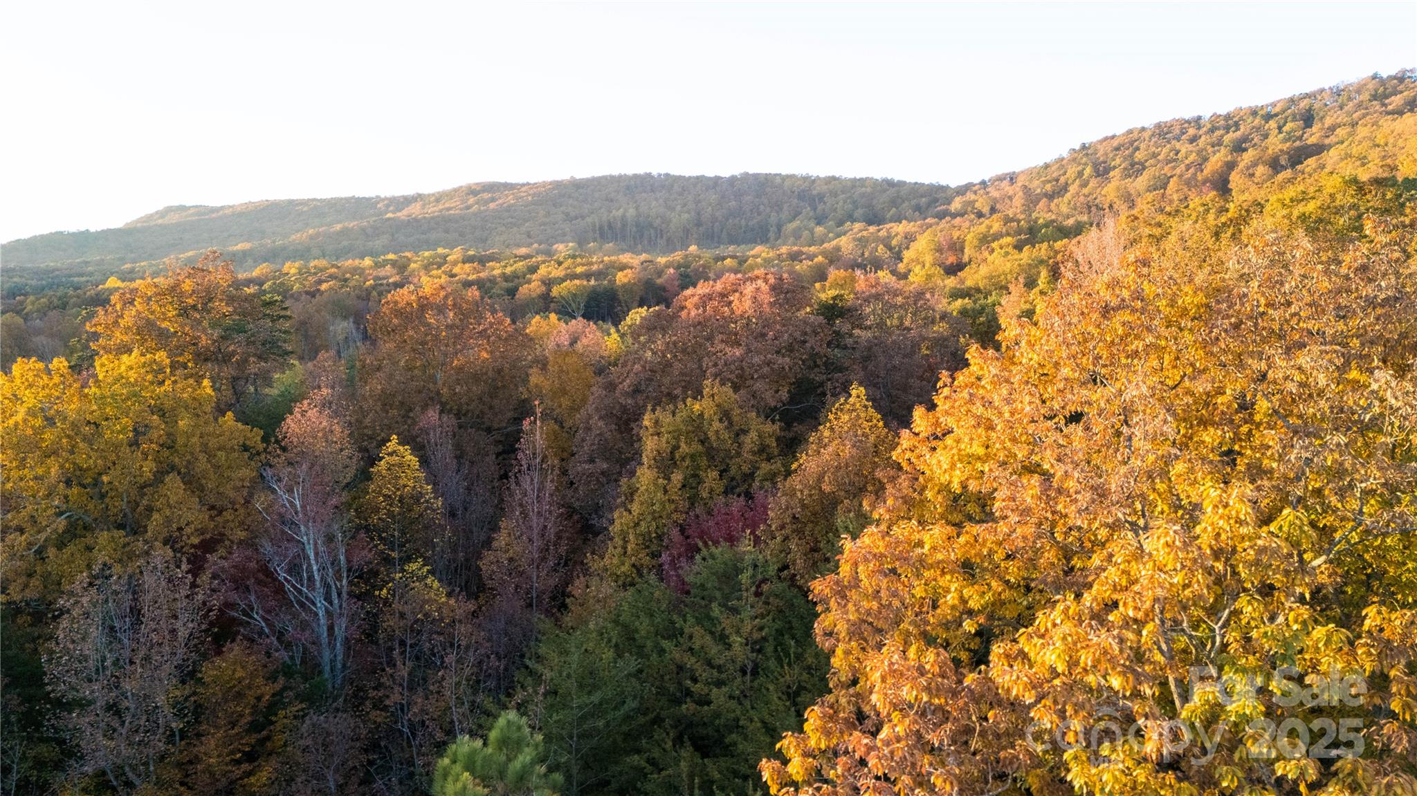 Tbd Wards Gap Road Casar NC 28020