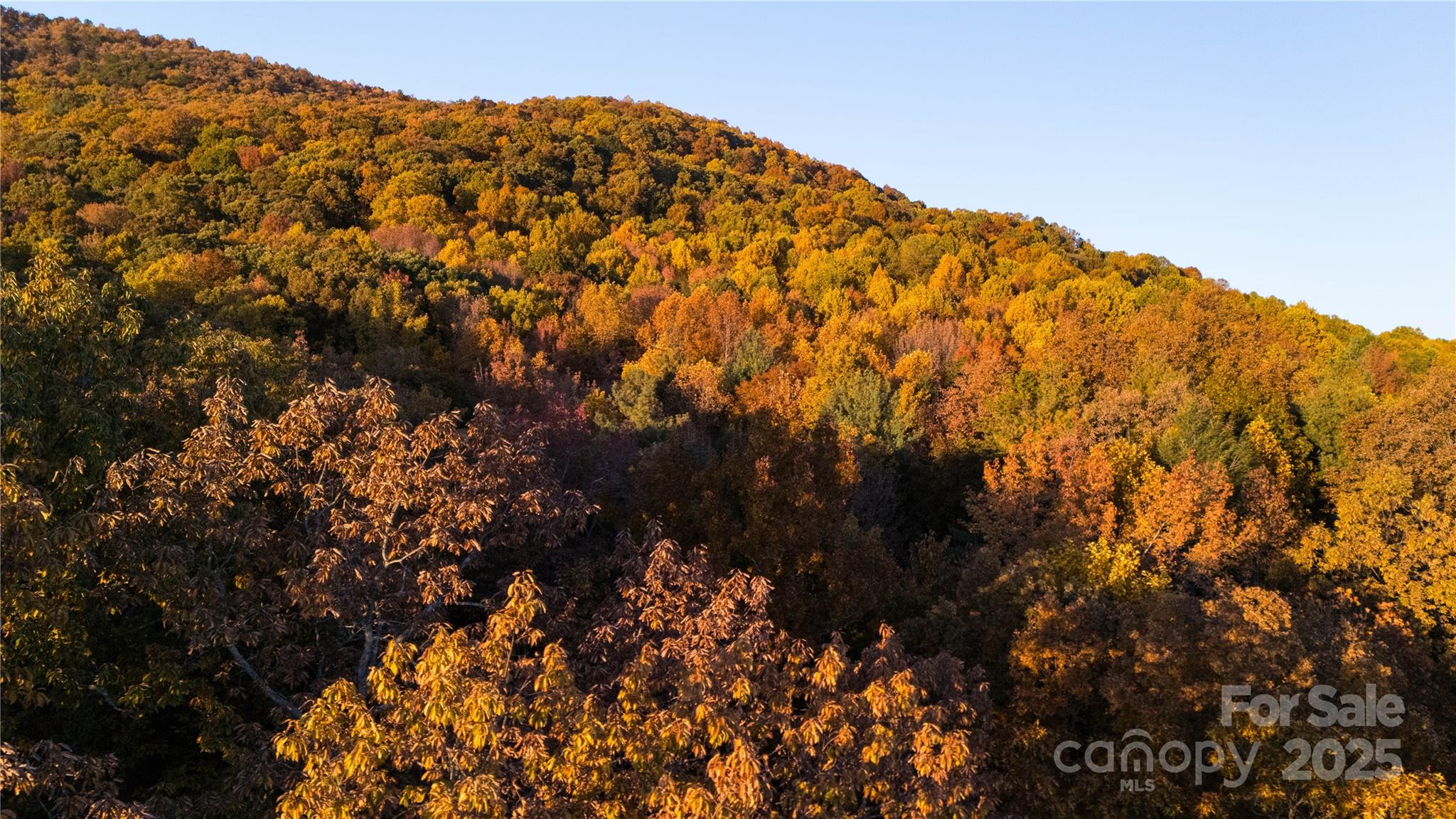 Tbd Wards Gap Road Casar NC 28020