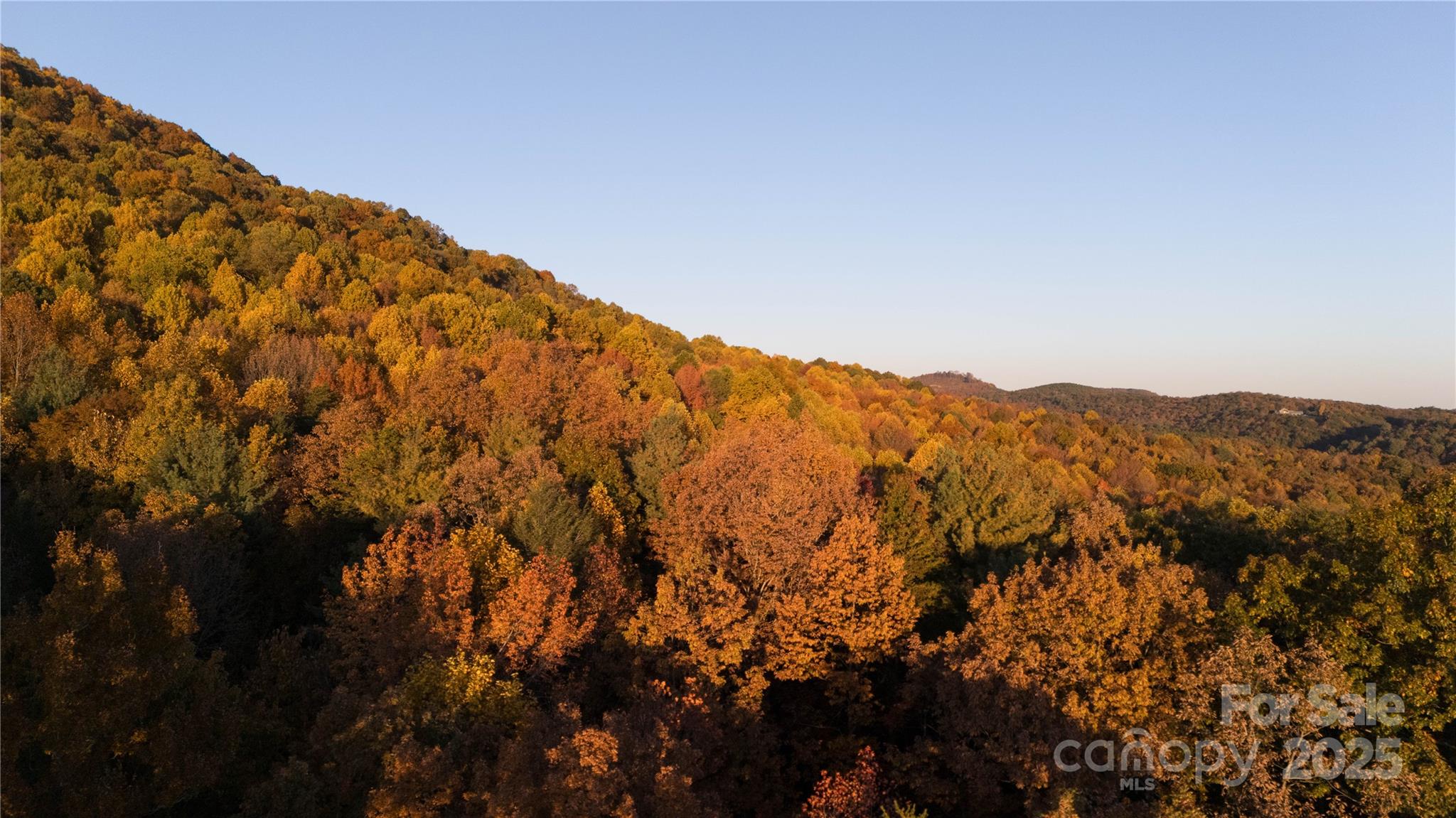 Tbd Wards Gap Road Casar NC 28020