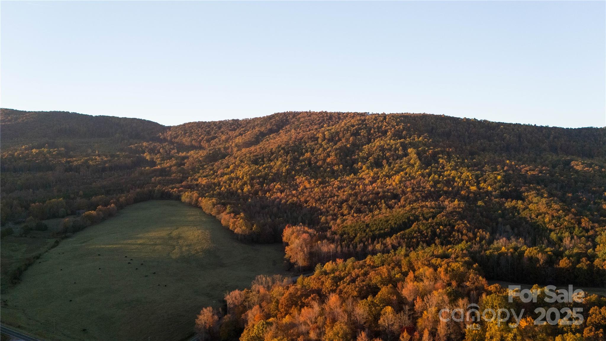 Tbd Wards Gap Road Casar NC 28020
