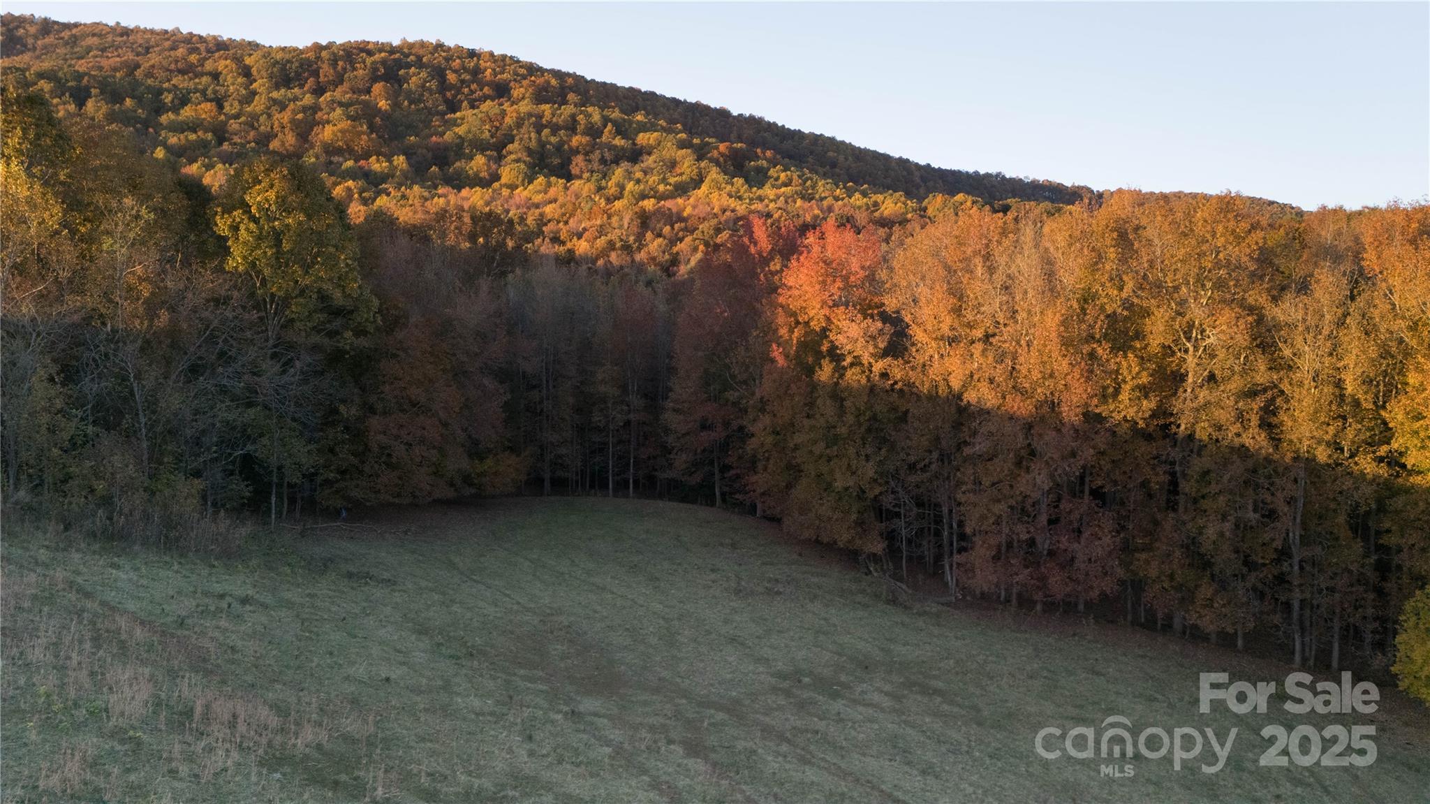 Tbd Wards Gap Road Casar NC 28020
