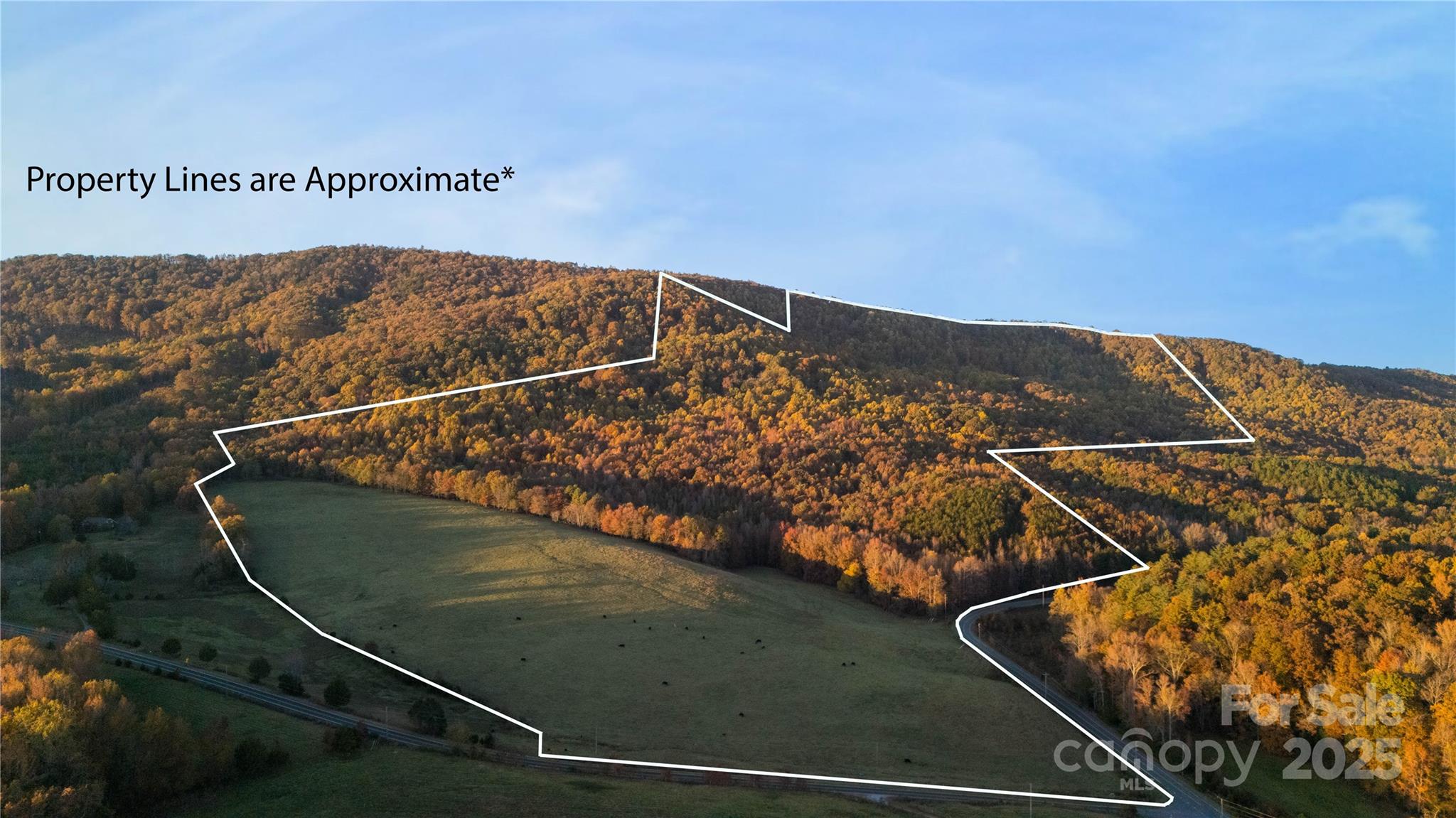 Tbd Wards Gap Road Casar NC 28020