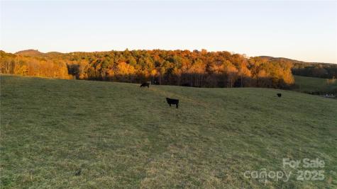 Tbd Wards Gap Road Casar NC 28020