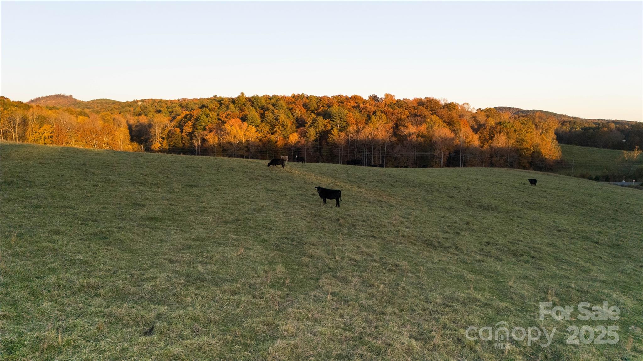 Tbd Wards Gap Road Casar NC 28020