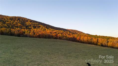 Tbd Wards Gap Road Casar NC 28020