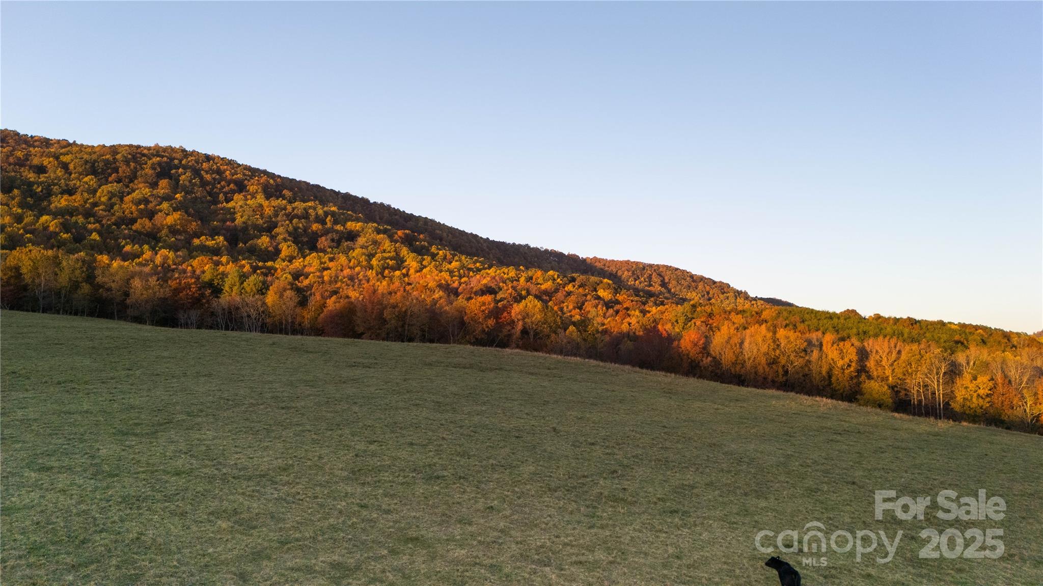 Tbd Wards Gap Road Casar NC 28020