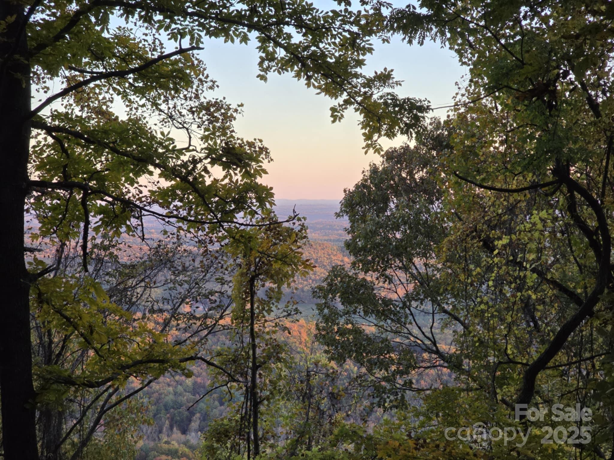 Tbd Wards Gap Road Casar NC 28020