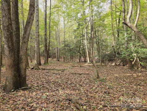 Tbd Wards Gap Road Casar NC 28020
