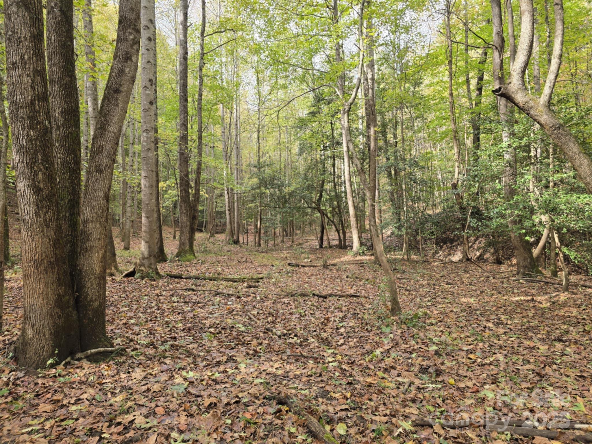 Tbd Wards Gap Road Casar NC 28020