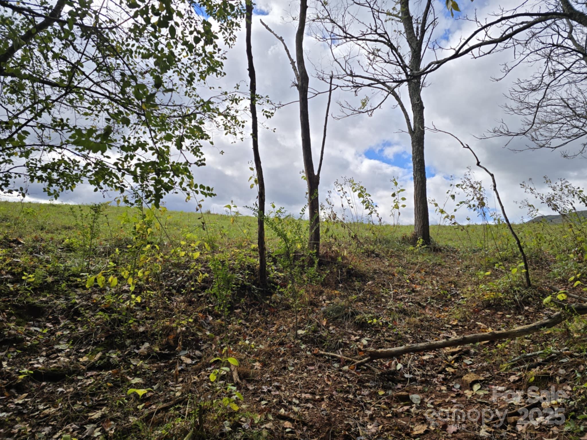 Tbd Wards Gap Road Casar NC 28020