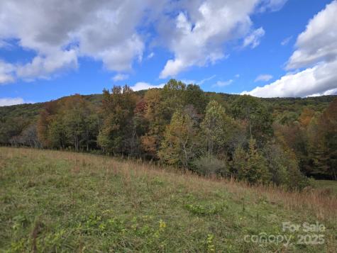 Tbd Wards Gap Road Casar NC 28020