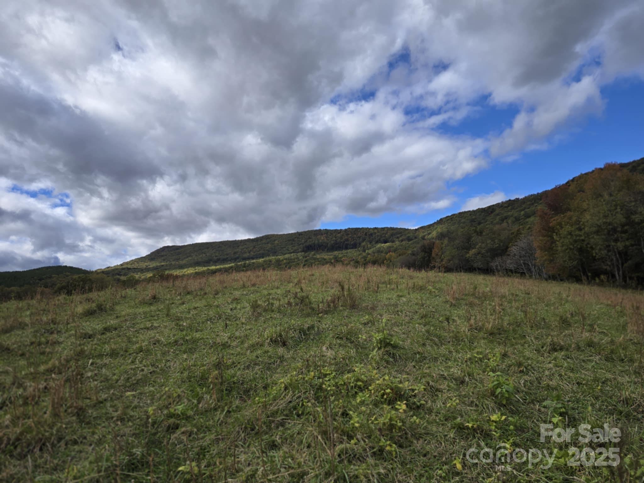 Tbd Wards Gap Road Casar NC 28020