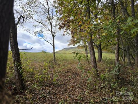 Tbd Wards Gap Road Casar NC 28020