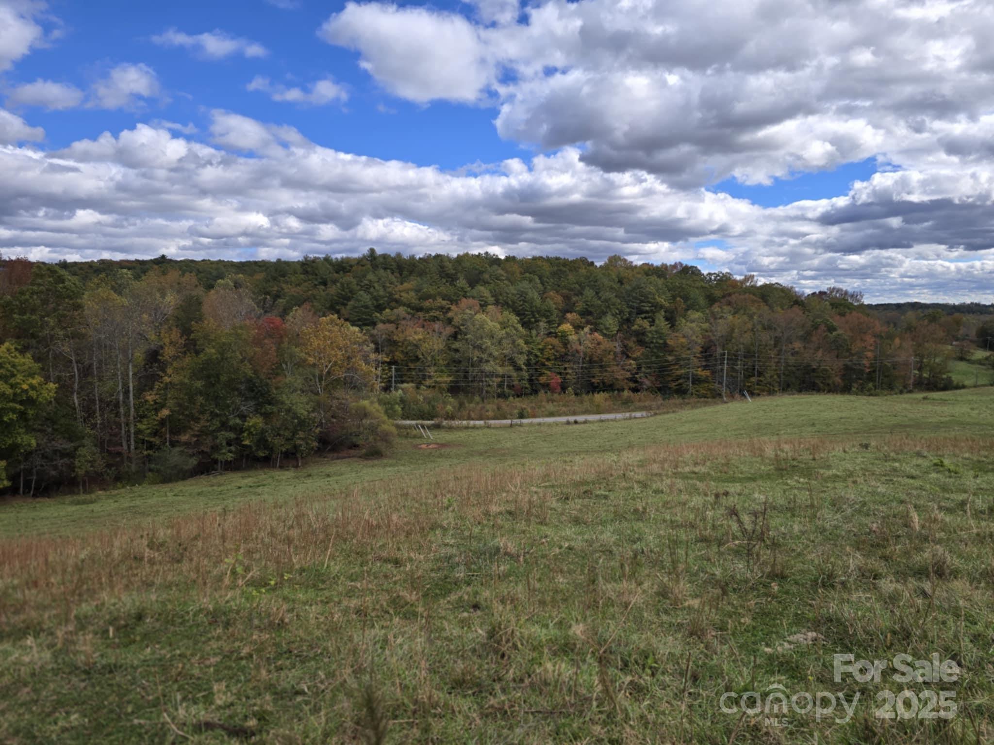 Tbd Wards Gap Road Casar NC 28020