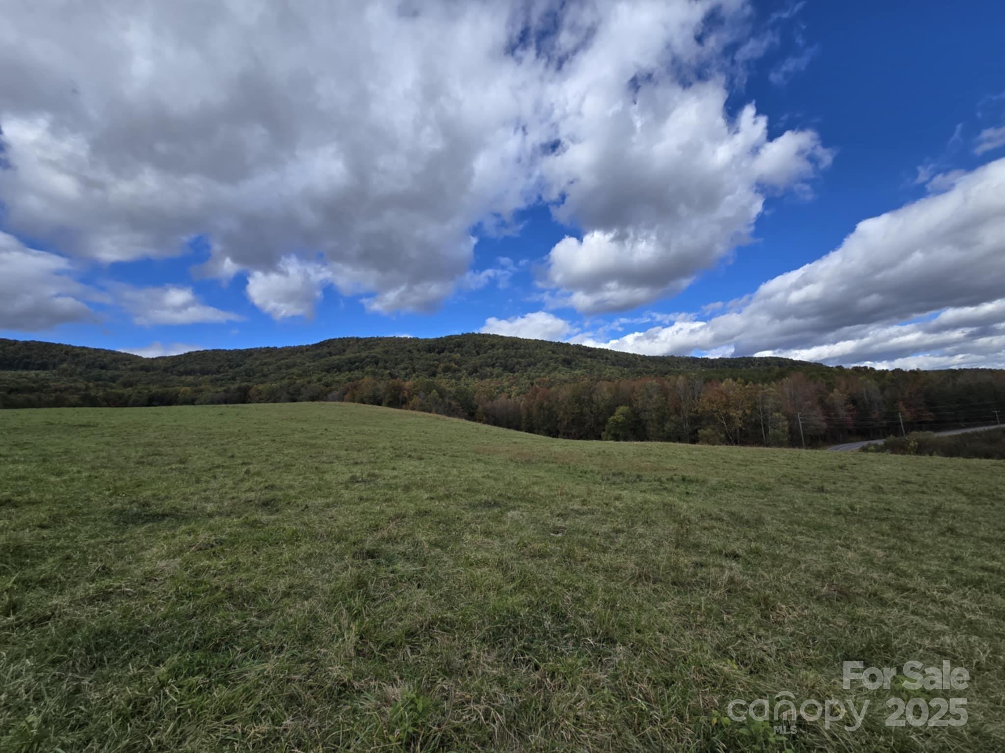 Tbd Wards Gap Road Casar NC 28020