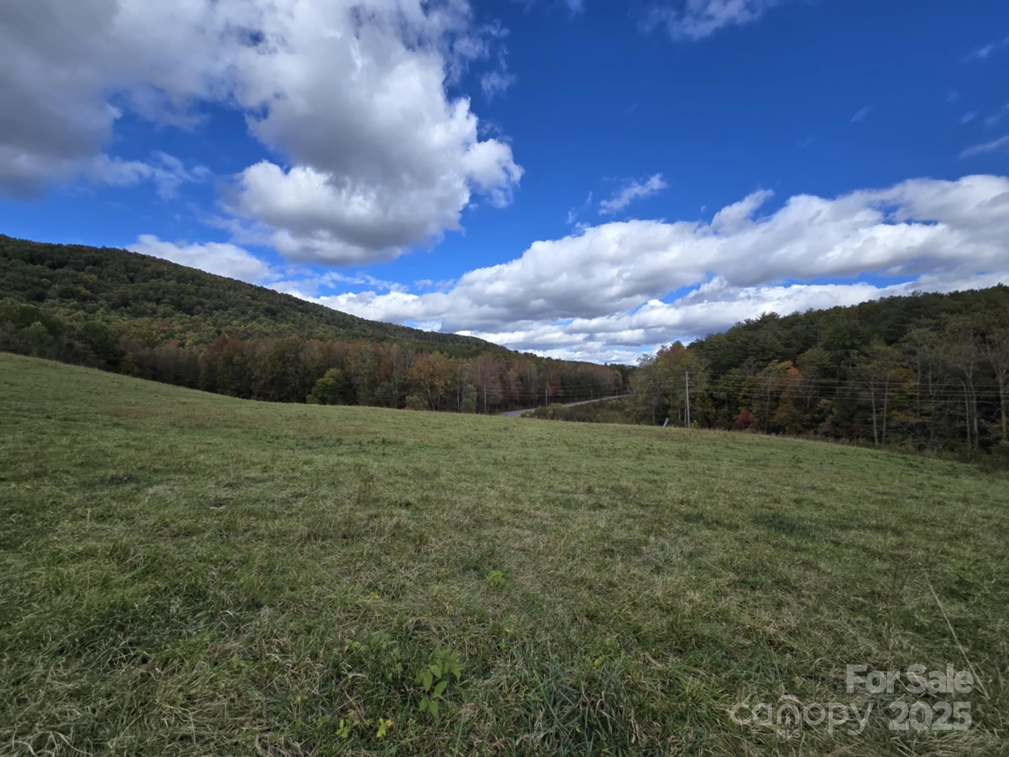 Tbd Wards Gap Road Casar NC 28020