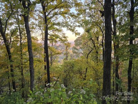 Tbd Wards Gap Road Casar NC 28020