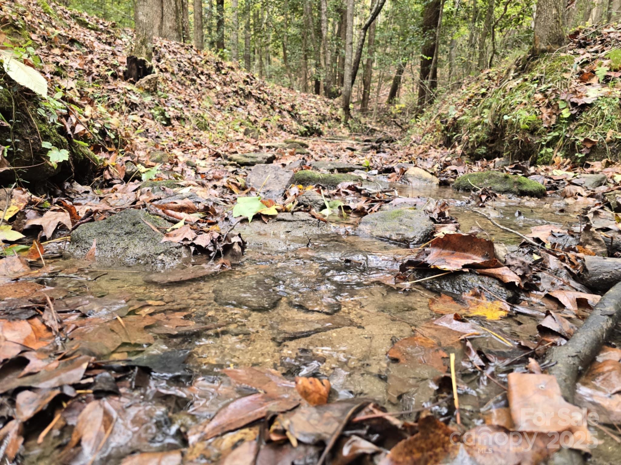 Tbd Wards Gap Road Casar NC 28020
