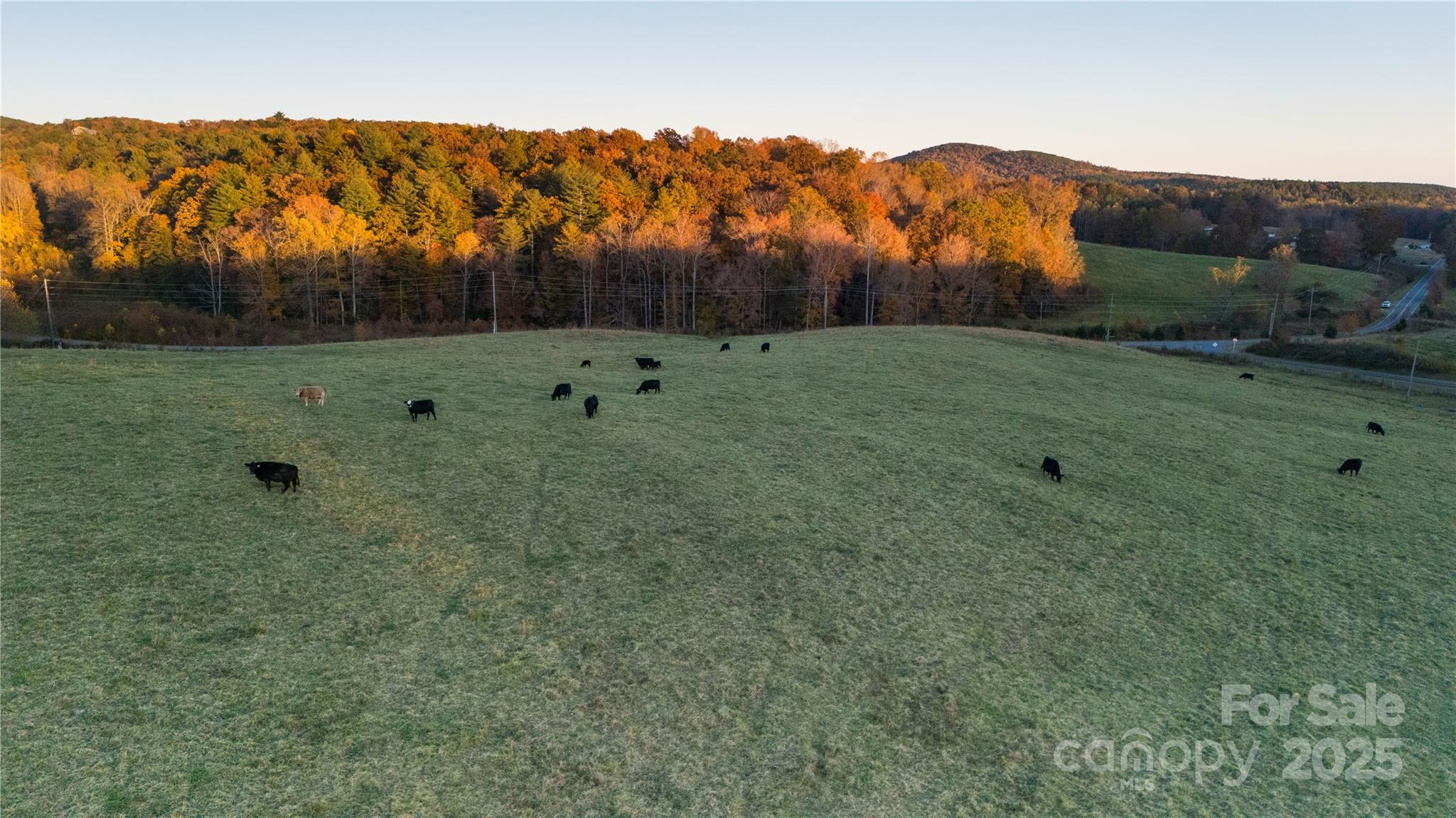 Tbd Wards Gap Road Casar NC 28020
