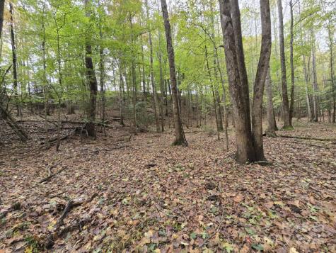 Tbd Wards Gap Road Casar NC 28020