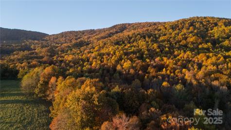 Tbd Wards Gap Road Casar NC 28020