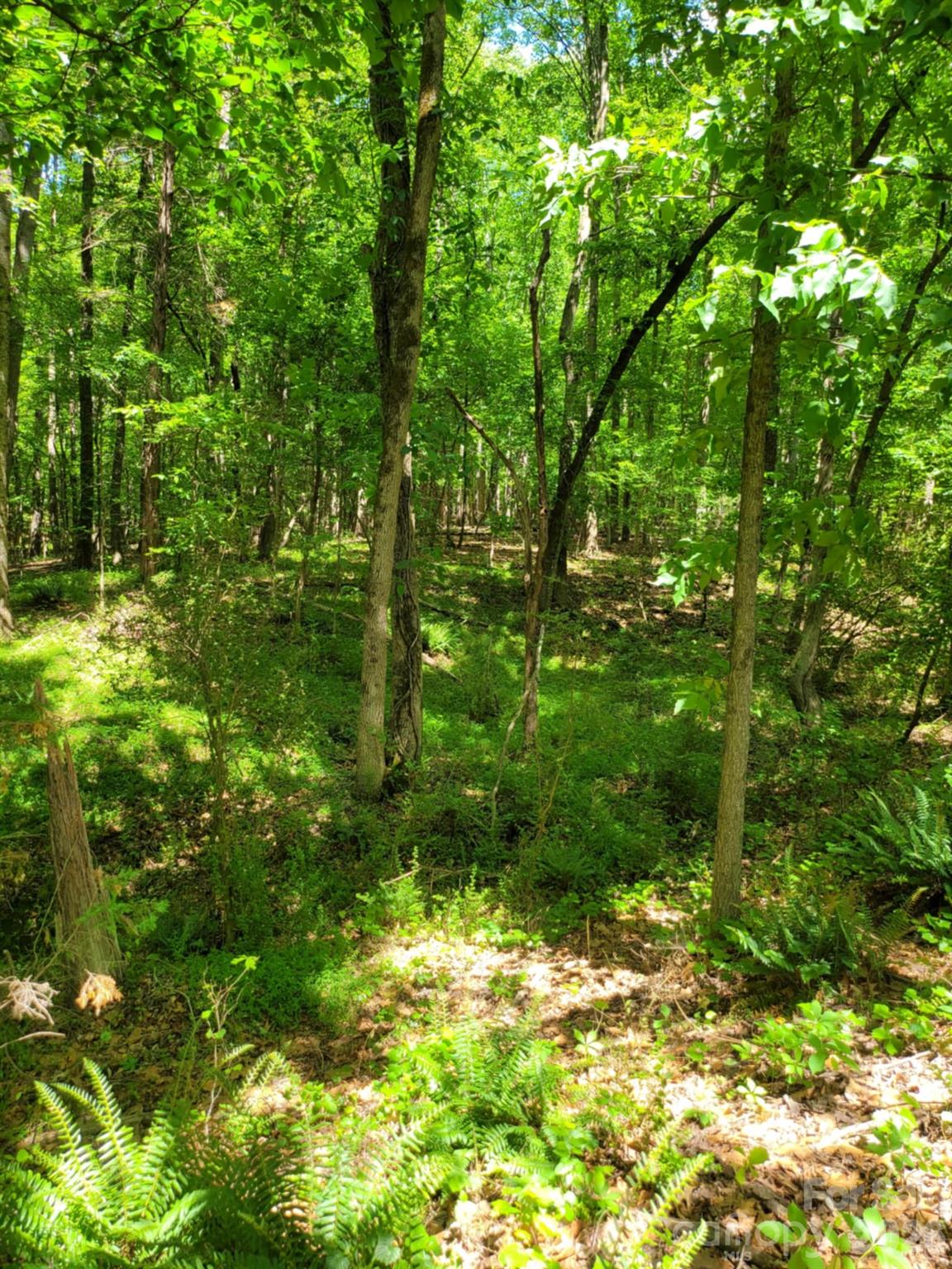 00 Millingport Road Albemarle NC 28001