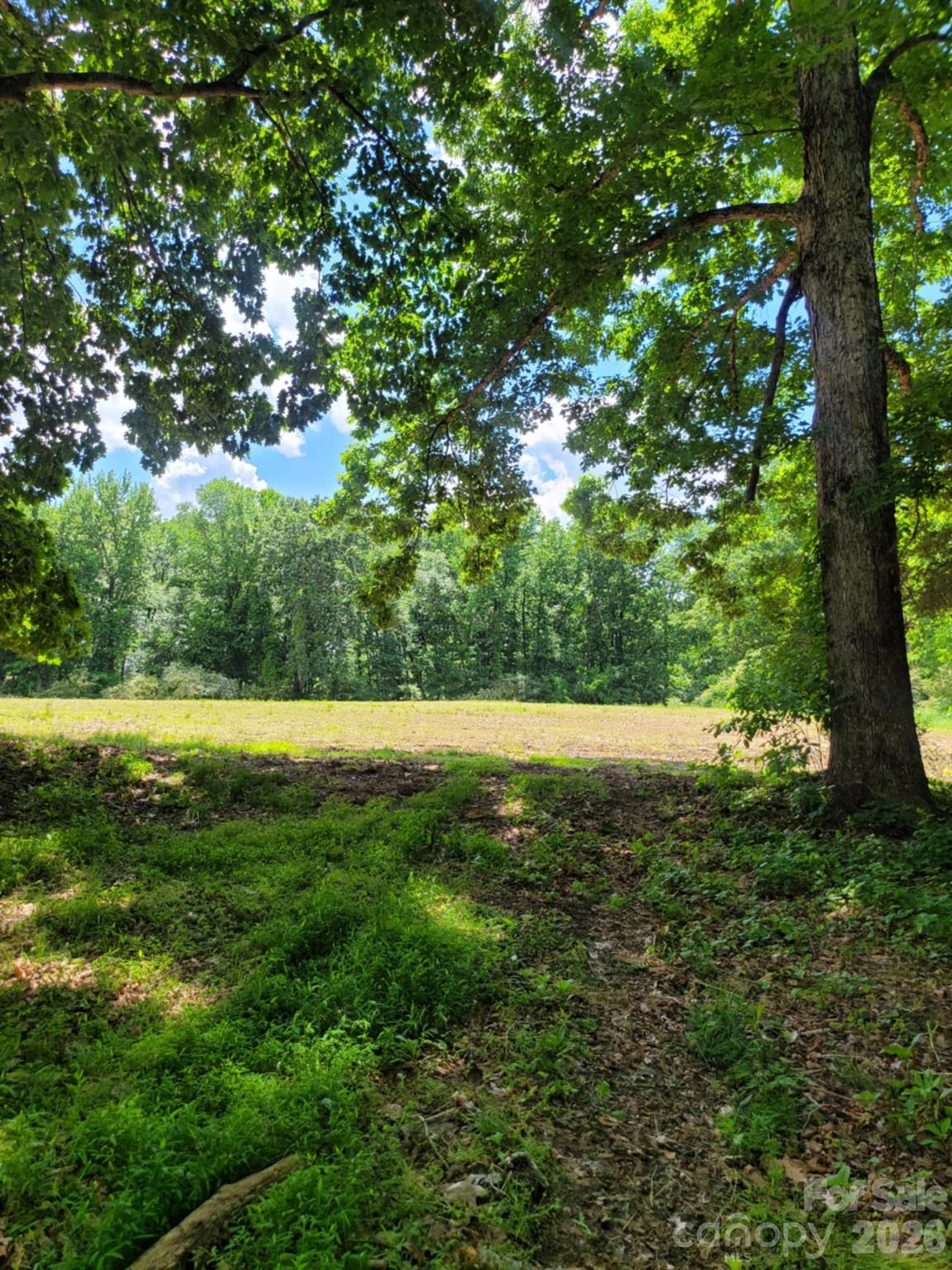 00 Millingport Road Albemarle NC 28001