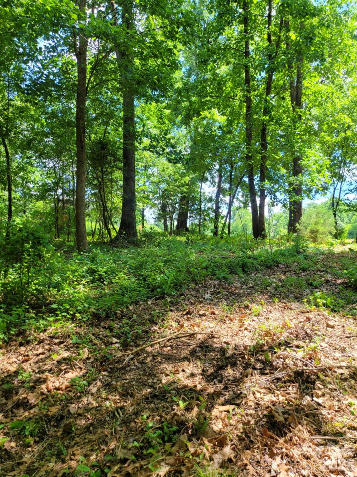 00 Millingport Road Albemarle NC 28001