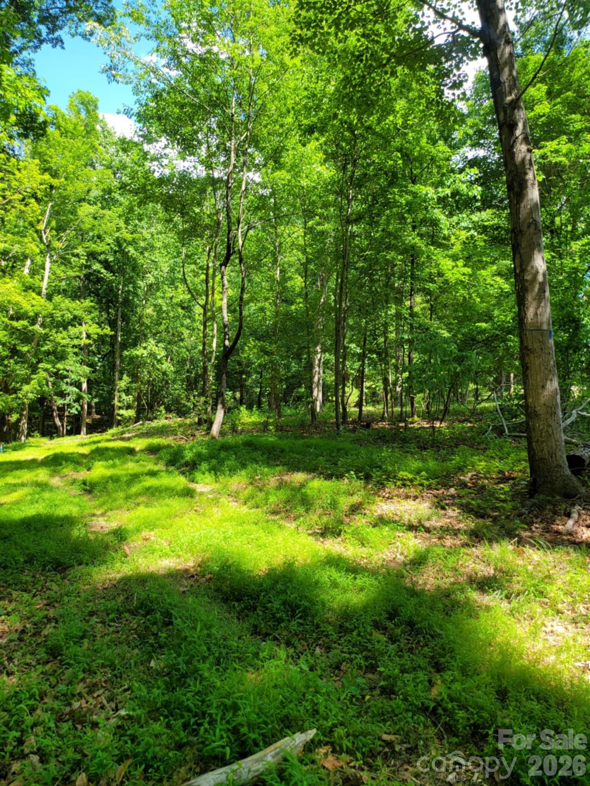 00 Millingport Road Albemarle NC 28001
