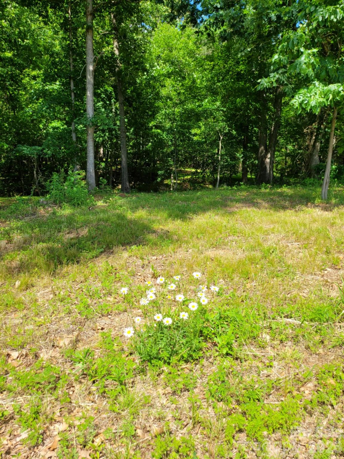 00 Millingport Road Albemarle NC 28001