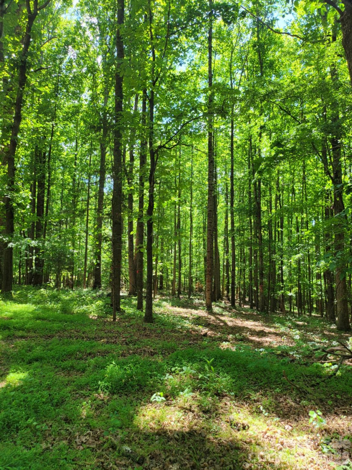 00 Millingport Road Albemarle NC 28001
