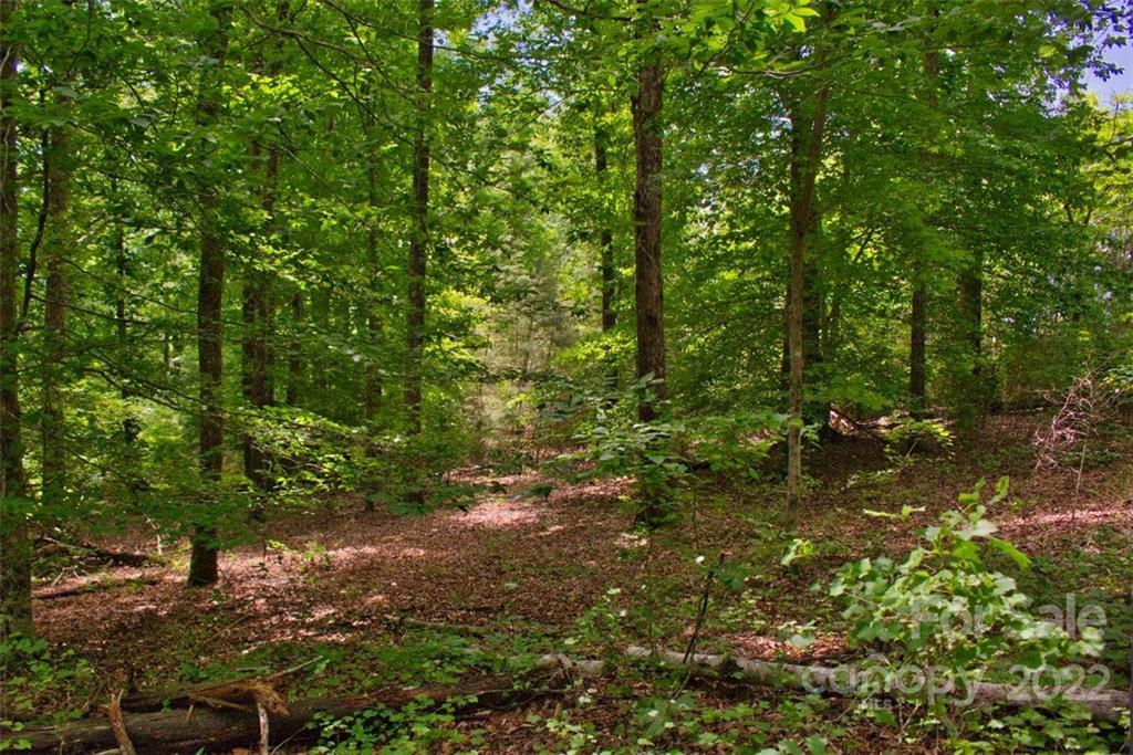 0 Midnight Pass Rutherfordton NC 28139