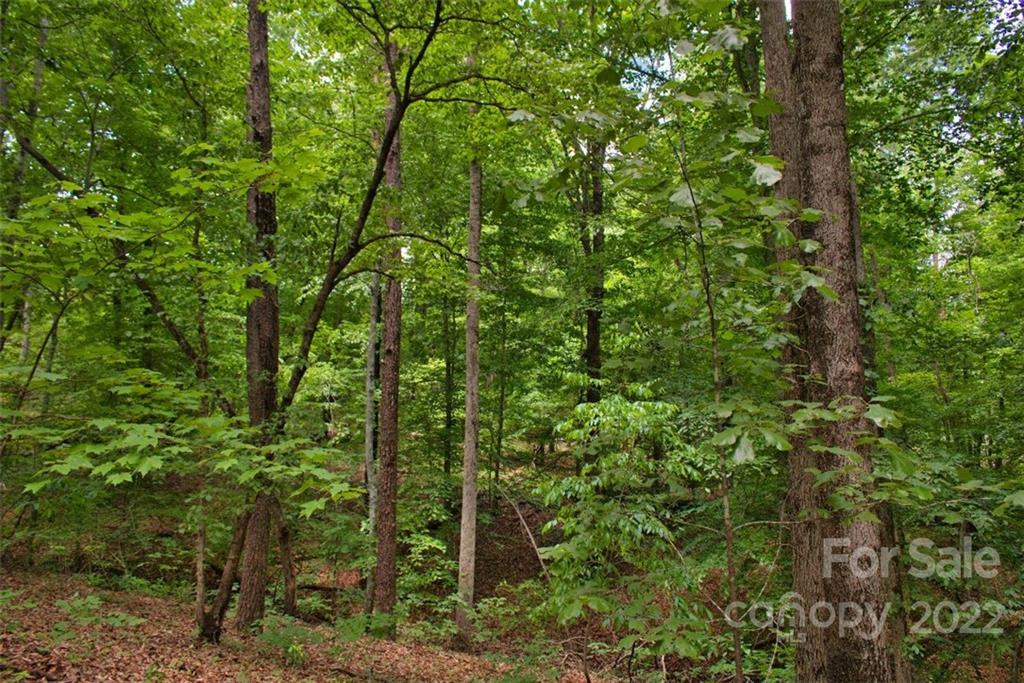 0 Midnight Pass Rutherfordton NC 28139