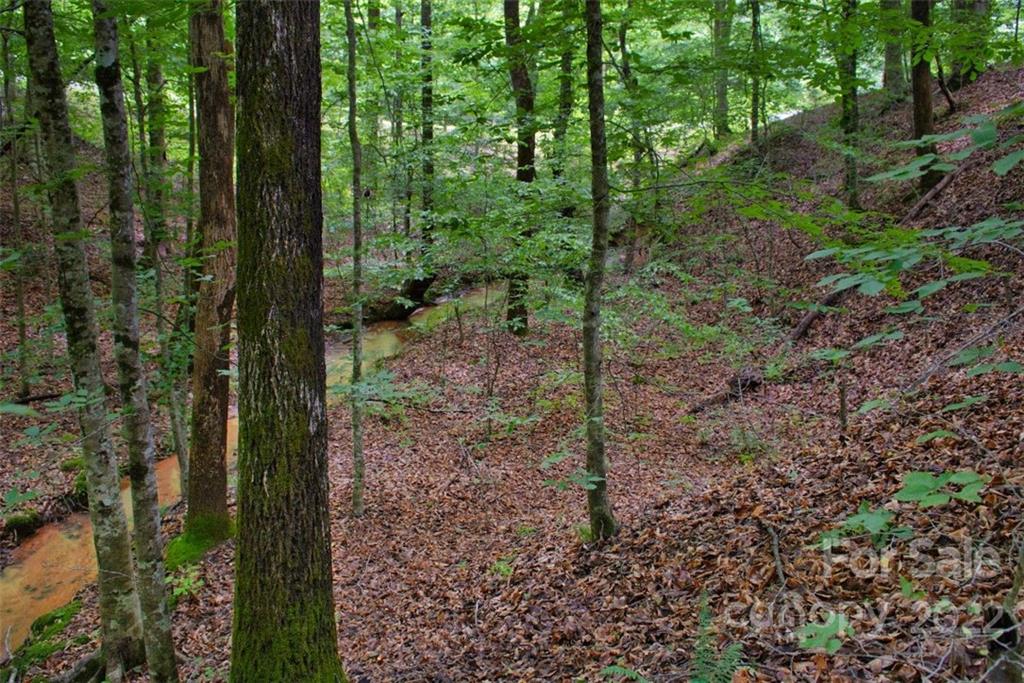 0 Midnight Pass Rutherfordton NC 28139