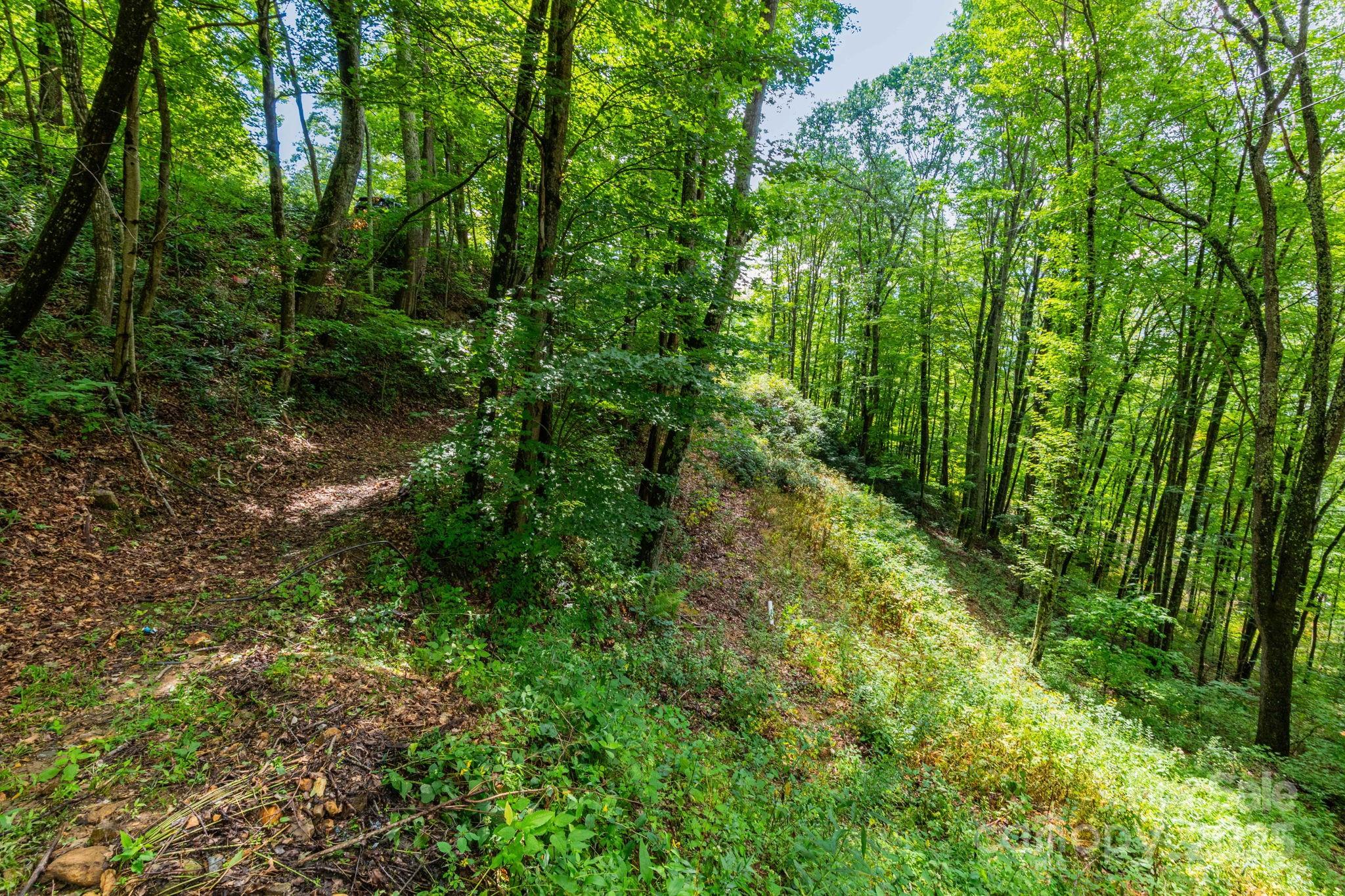 38 Imperial Court Waynesville NC 28785
