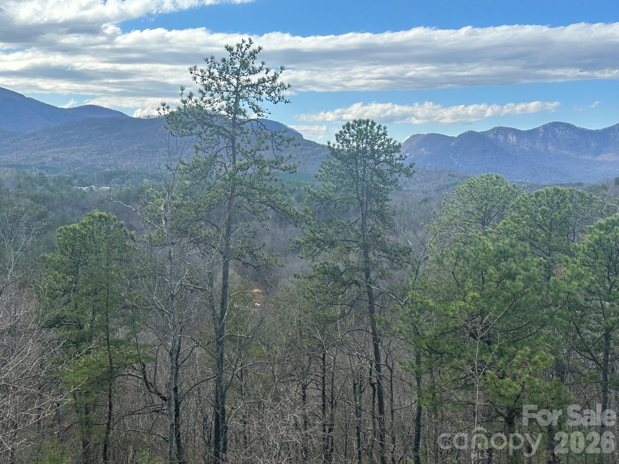 0000 Boulder Ridge Lake Lure NC 28746