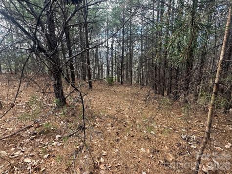 0000 Boulder Ridge Lake Lure NC 28746