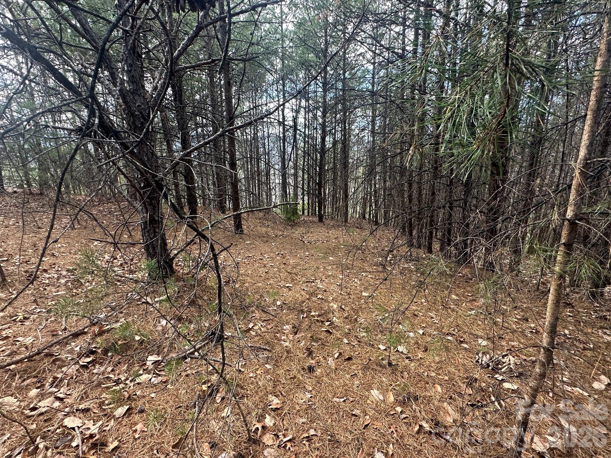 0000 Boulder Ridge Lake Lure NC 28746