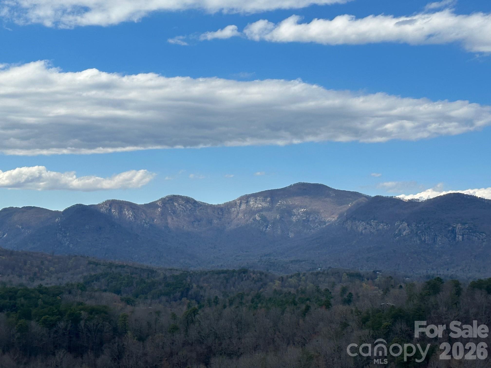 0000 Boulder Ridge Lake Lure NC 28746